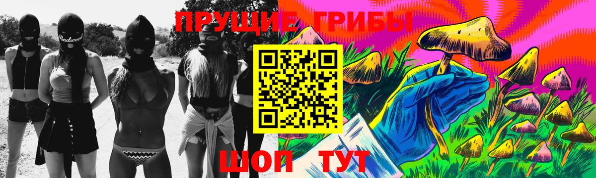 Псилоцибиновые грибы Magic Shrooms  Вход с VPN  Михайловск  даркнет сайт  Псилоцибиновые грибы Cubensis 