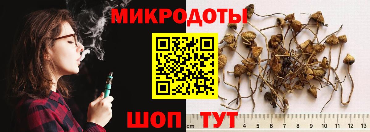 Галлюциногенные грибы Psilocybine cubensis Михайловск